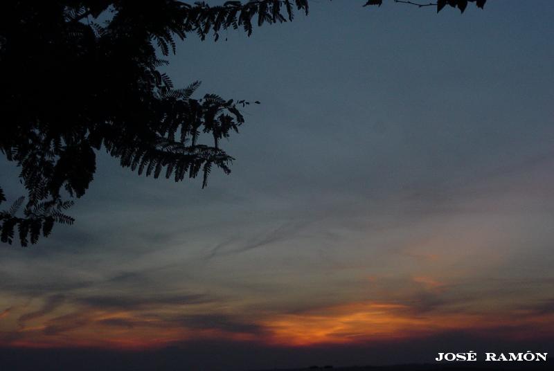Foto de Jerez de la Frontera (Cádiz), España