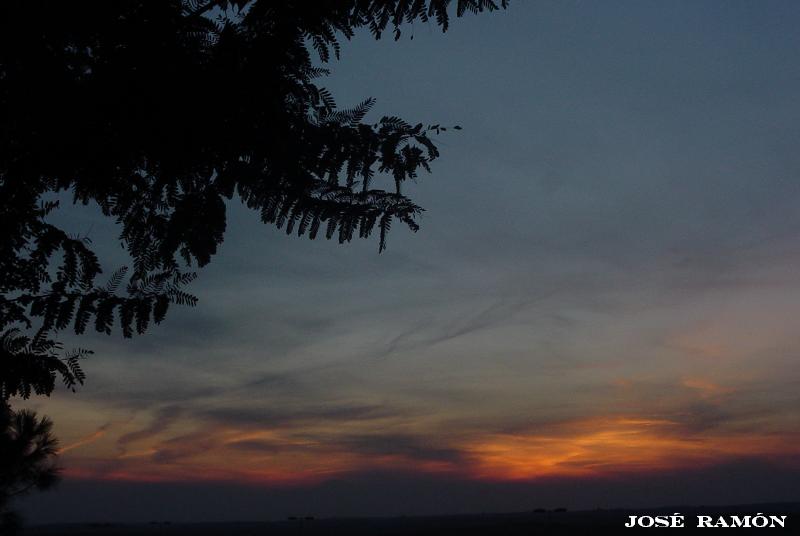 Foto de Jerez de la Frontera (Cádiz), España