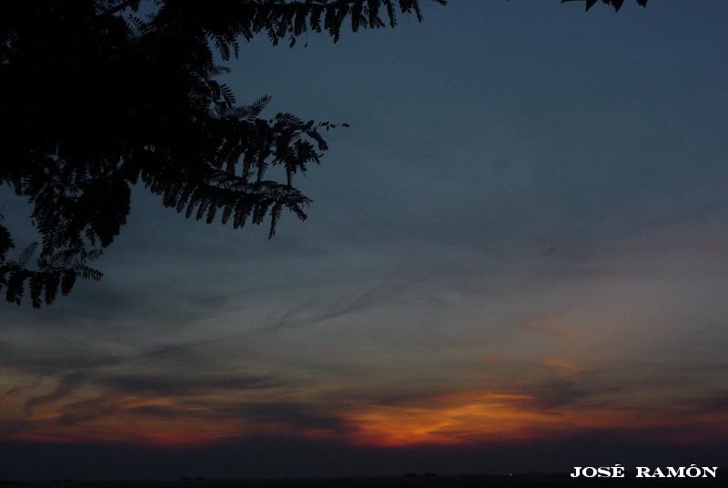 Foto de Jerez de la Frontera (Cádiz), España