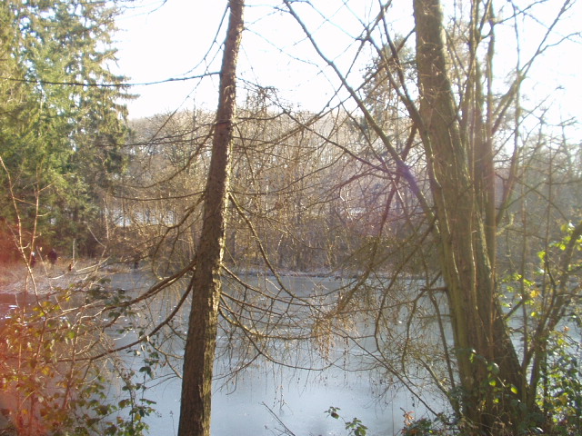 Foto de Maria Laach, Alemania