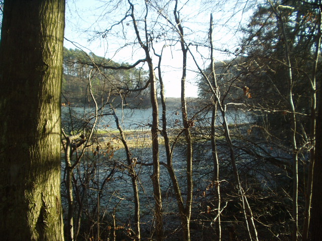 Foto de Maria Laach, Alemania