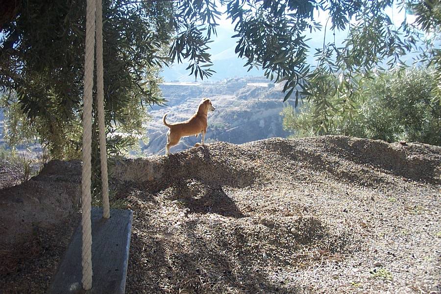 Foto de Canjáyar (Almería), España