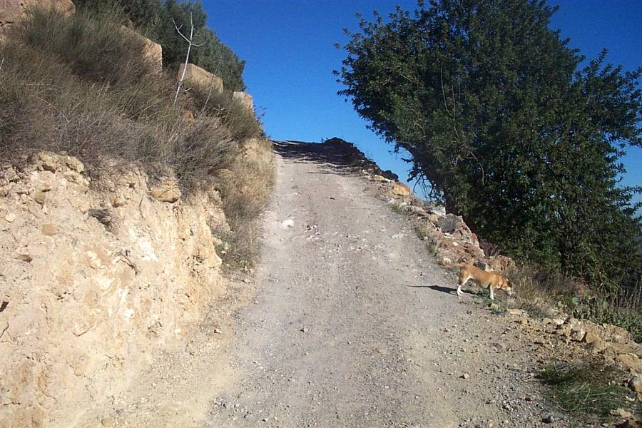 Foto de Canjáyar (Almería), España