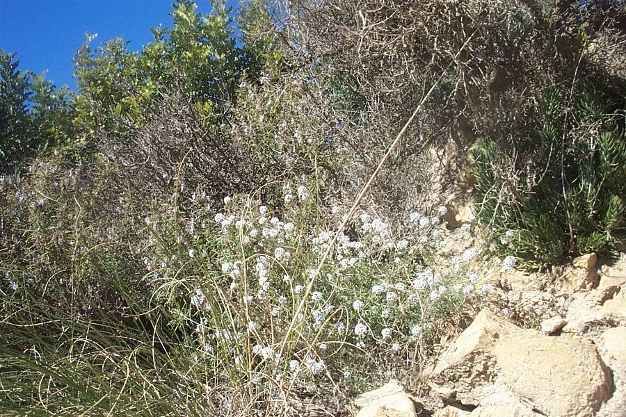 Foto de Canjáyar (Almería), España