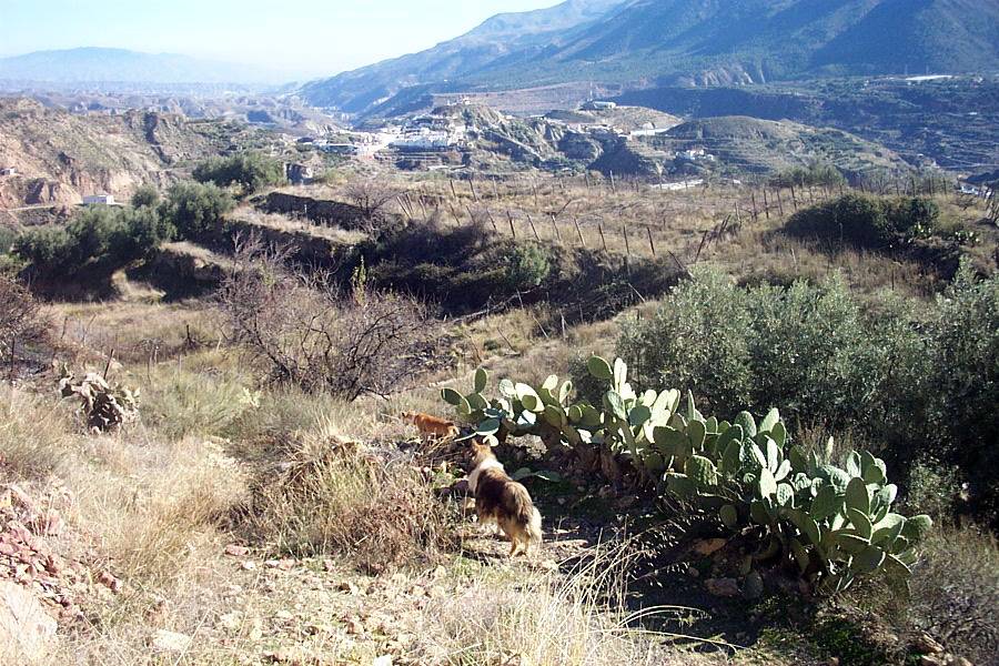 Foto de Canjáyar (Almería), España