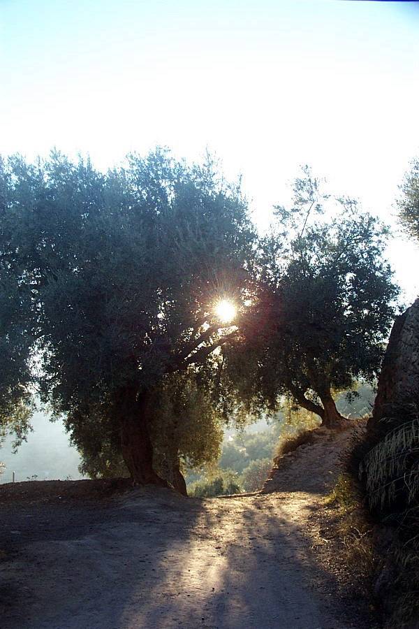 Foto de Canjáyar (Almería), España