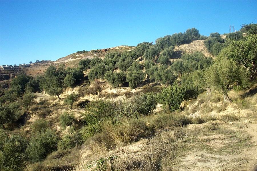 Foto de Canjáyar (Almería), España