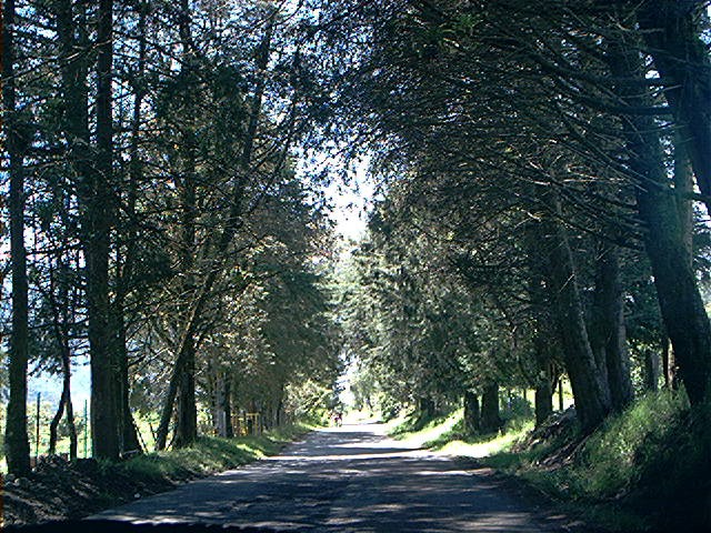 Foto de Edo. Merida, Venezuela