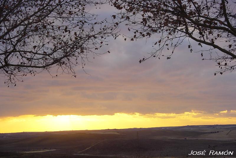 Foto de Jerez de la Frontera (Cádiz), España