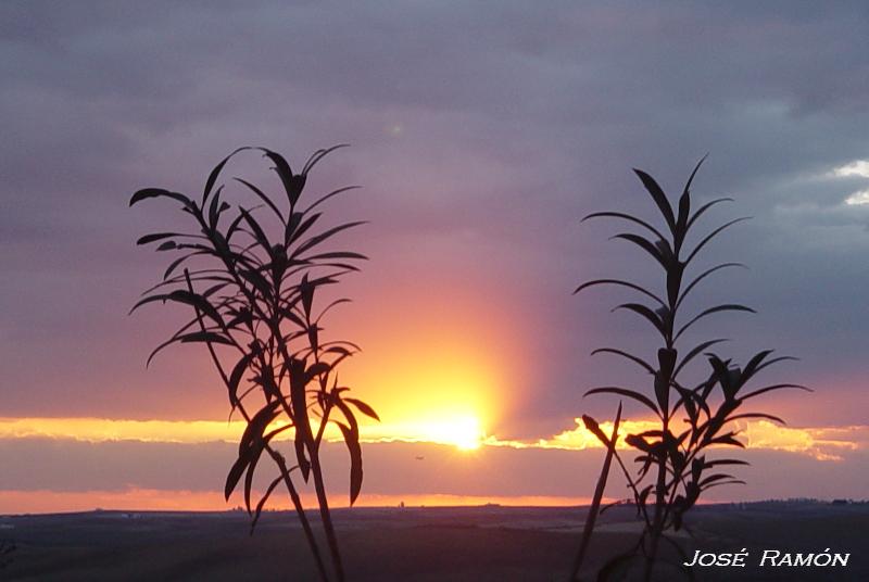 Foto de Jerez de la Frontera (Cádiz), España