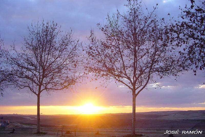 Foto de Jerez de la Frontera (Cádiz), España
