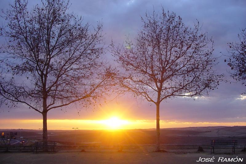 Foto de Jerez de la Frontera (Cádiz), España