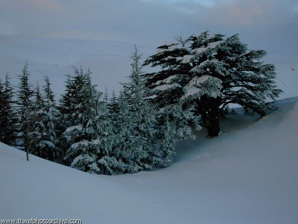 Foto de Cedars, Líbano