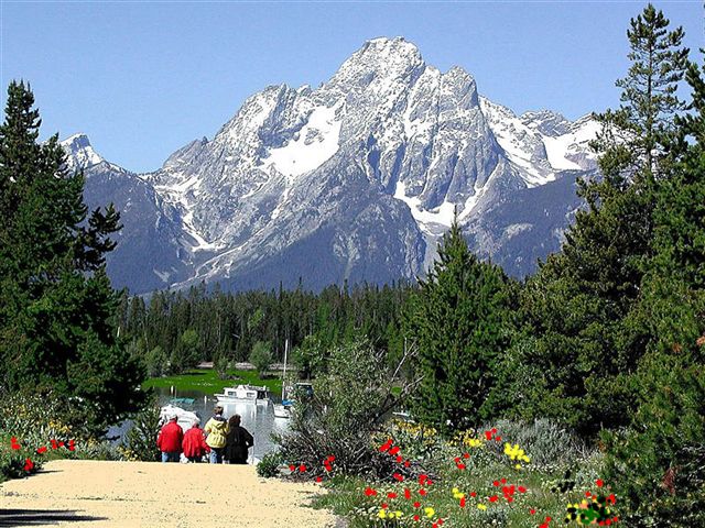 Foto de Parque Nacinal de Yellowstone (Wyoming), Estados Unidos