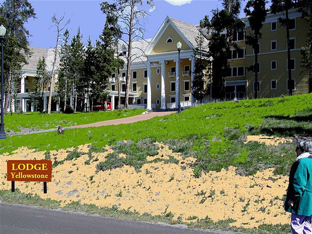 Foto de Parque Nacional de Yellowstone (Wyoming), Estados Unidos