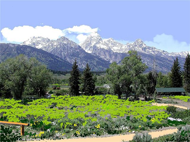 Foto de Parque Nacional de Yellowstone (Wyoming), Estados Unidos