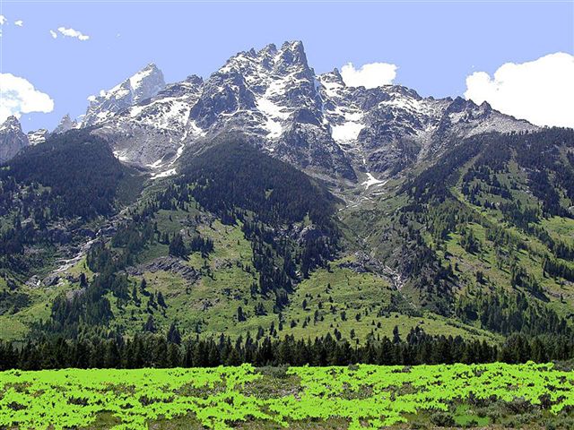 Foto de Parque Nacional de Yellowstone (Wyoming), Estados Unidos