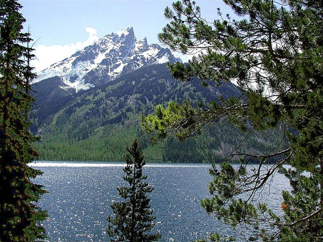 Foto de Parque Nacional de Yellowstone (Wyoming), Estados Unidos