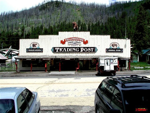 Foto de Parque Nacional de Yellowstone (Wyoming), Estados Unidos