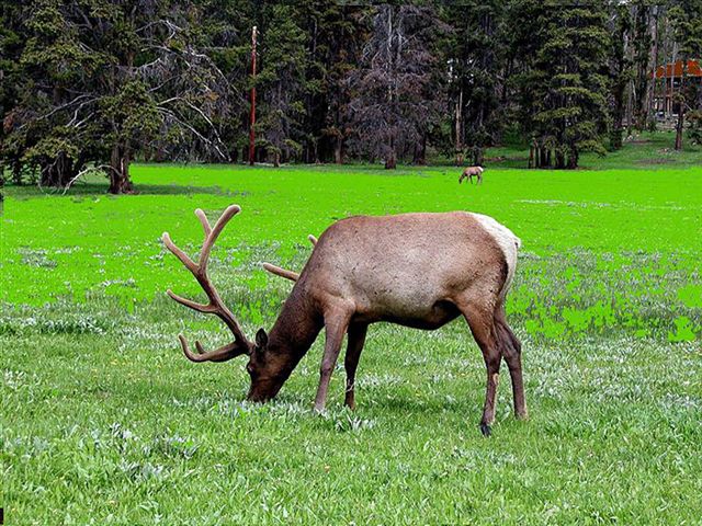Foto de Wyoming, Estados Unidos