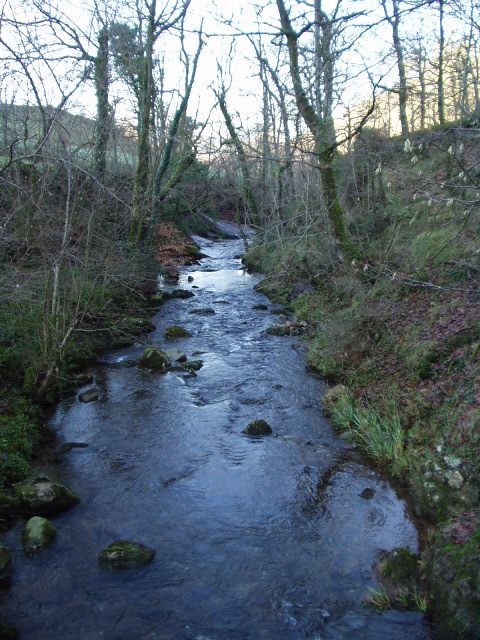 Foto de Pisueña (Cantabria), España