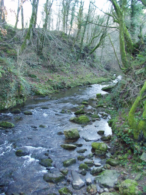 Foto de Pisueña (Cantabria), España