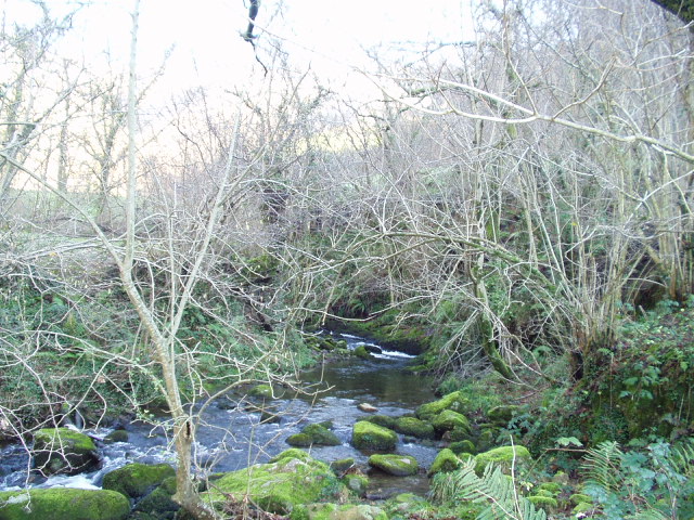 Foto de Pisueña (Cantabria), España