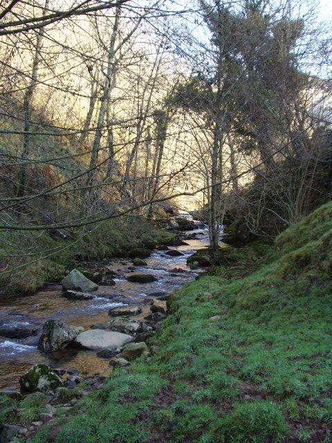 Foto de Pisueña (Cantabria), España