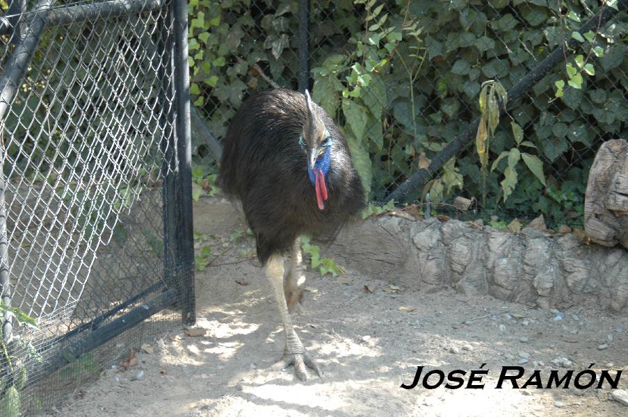 Foto de Jerez  de la Frontera (Cádiz), España