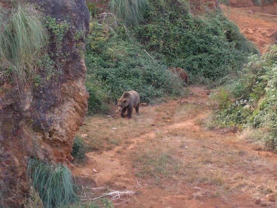 Foto de Cabarceno (Cantabria), España