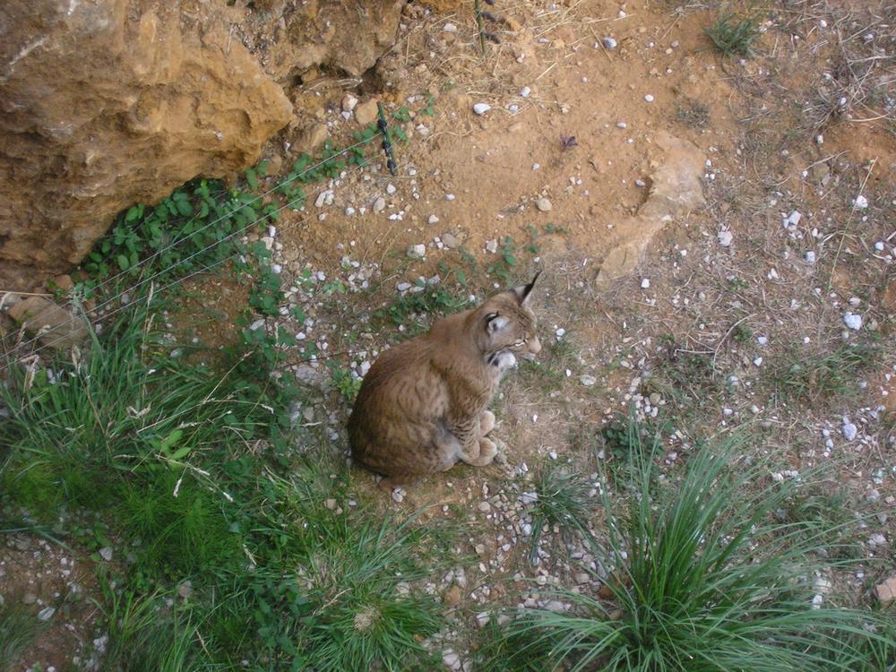 Foto de Cabarceno (Cantabria), España