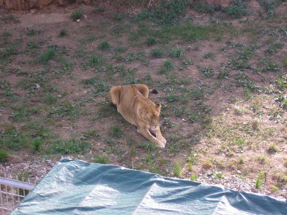 Foto de Cabarceno (Cantabria), España