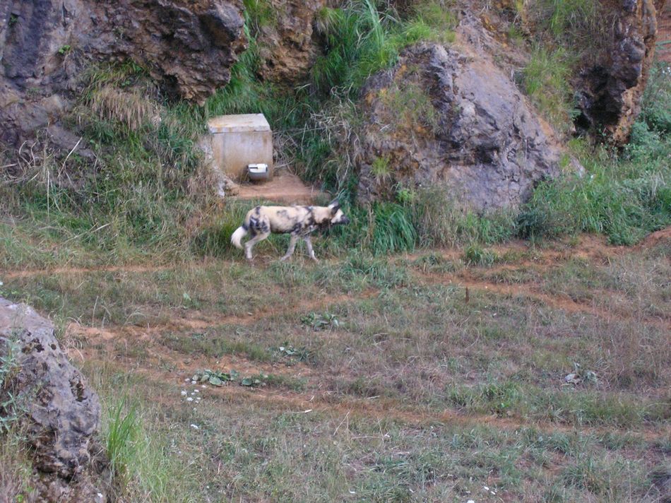 Foto de Cabarceno (Cantabria), España