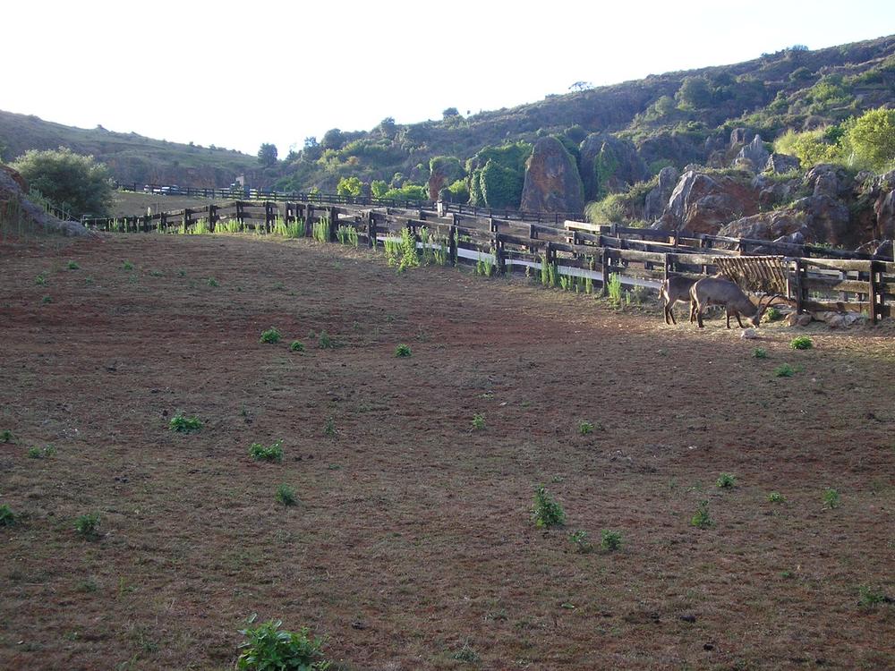 Foto de Cabarceno (Cantabria), España