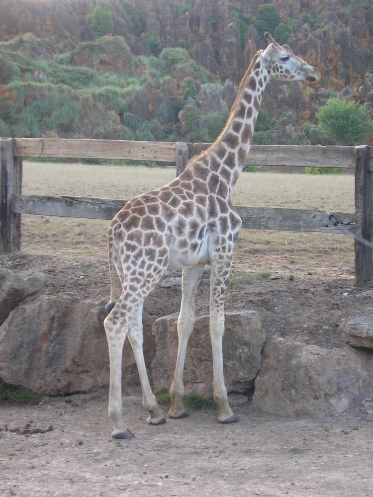 Foto de Cabarceno (Cantabria), España