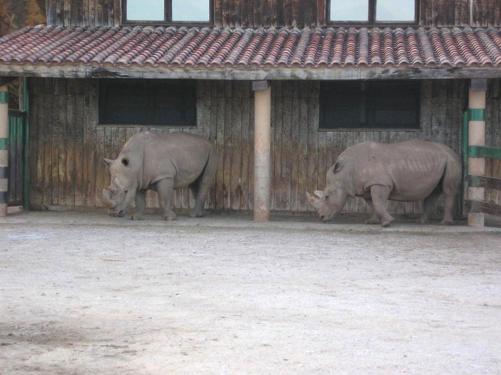 Foto de Cabarceno (Cantabria), España