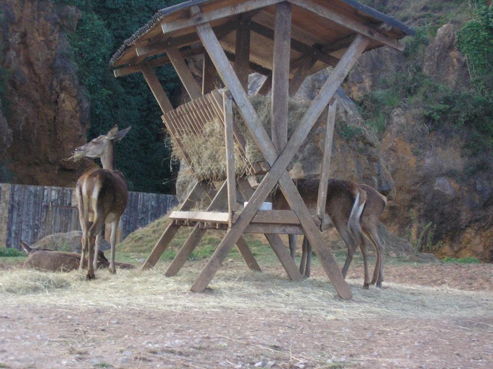 Foto de Cabarceno (Cantabria), España