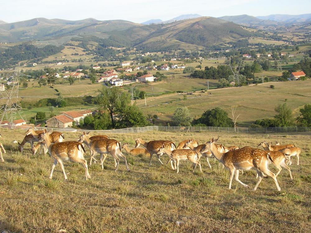 Foto de Cabarceno (Cantabria), España