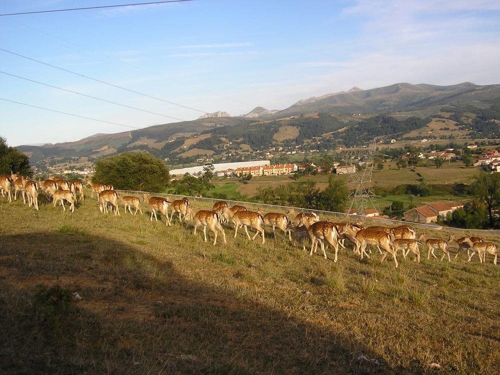 Foto de Cabarceno (Cantabria), España