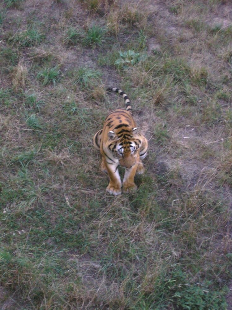 Foto de Cabarceno (Cantabria), España