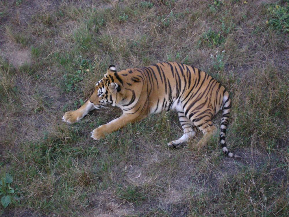 Foto de Cabarceno (Cantabria), España
