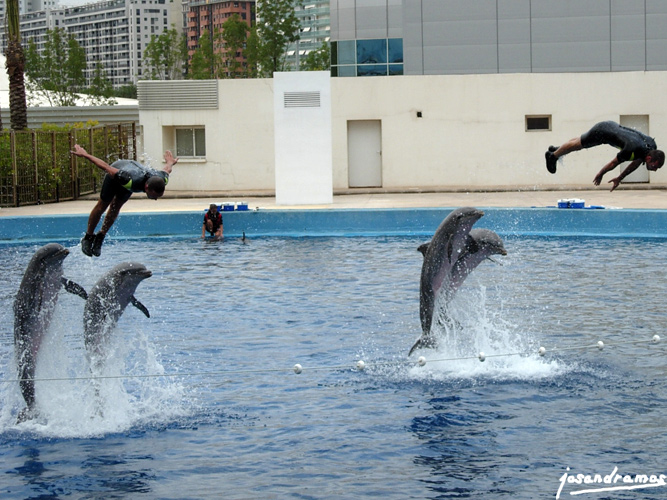 Foto de Valencia (València), España