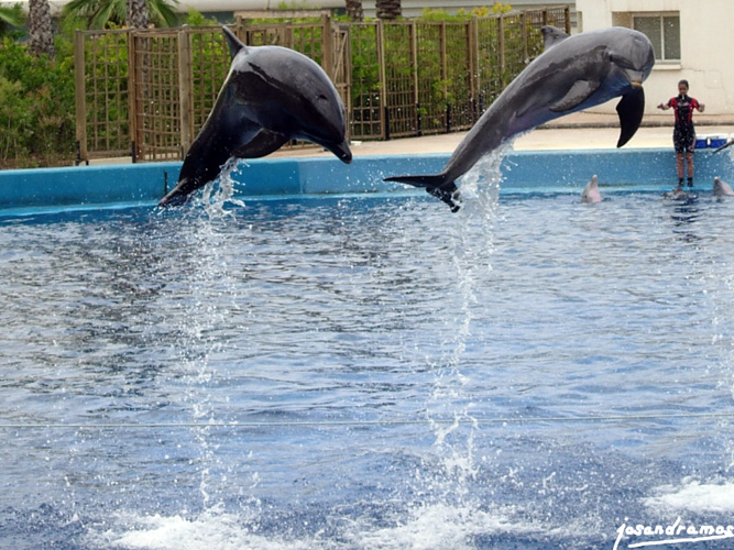 Foto de Valencia (València), España