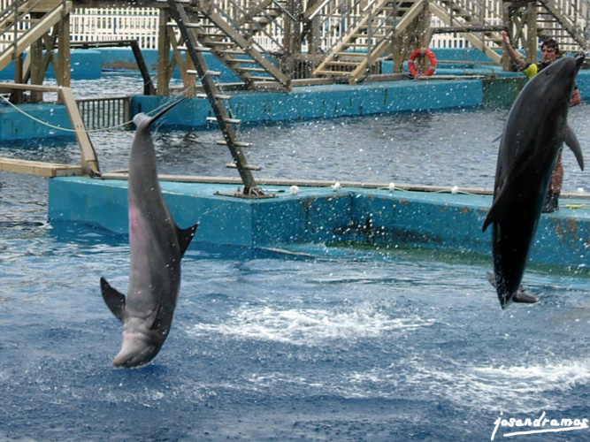 Foto de Valencia (València), España