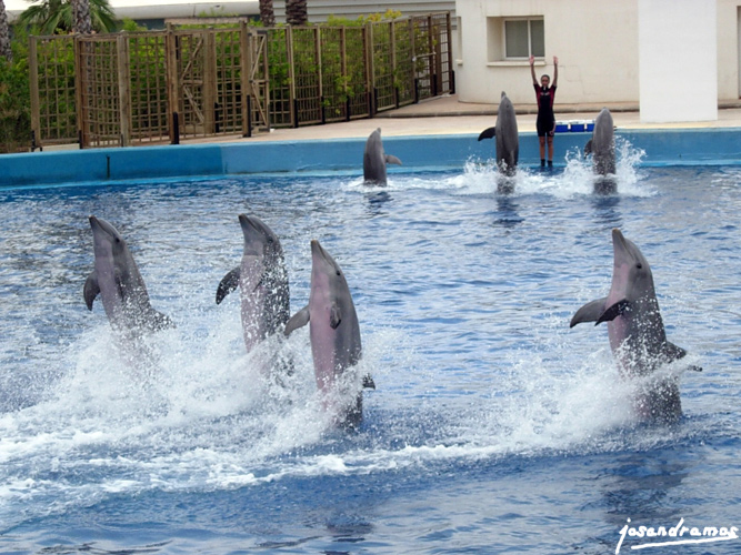 Foto de Valencia (València), España