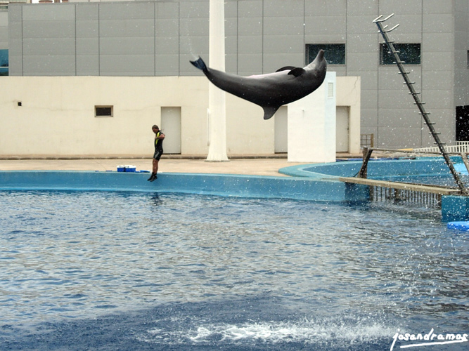 Foto de Valencia (València), España