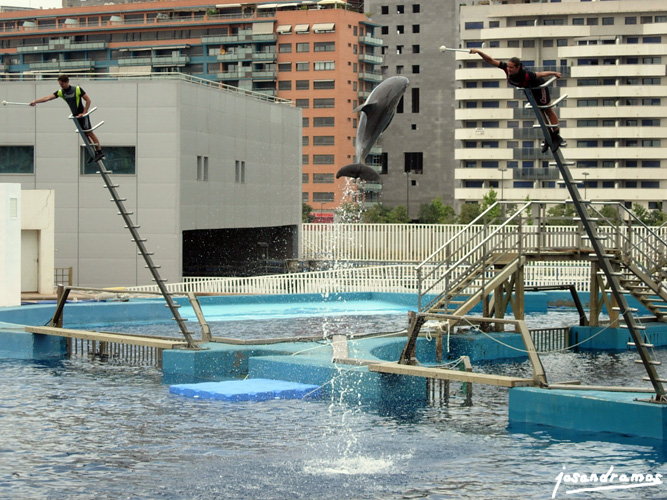 Foto de Valencia (València), España