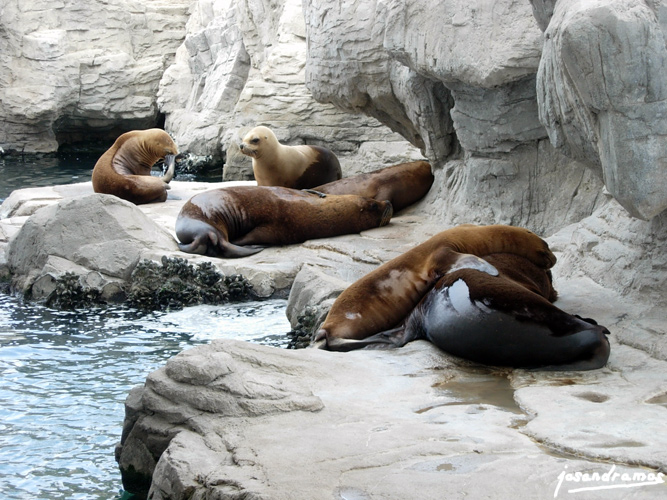 Foto de Valencia (València), España