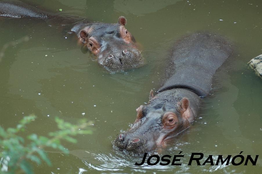 Foto de Jerez  de la Frontera (Cádiz), España