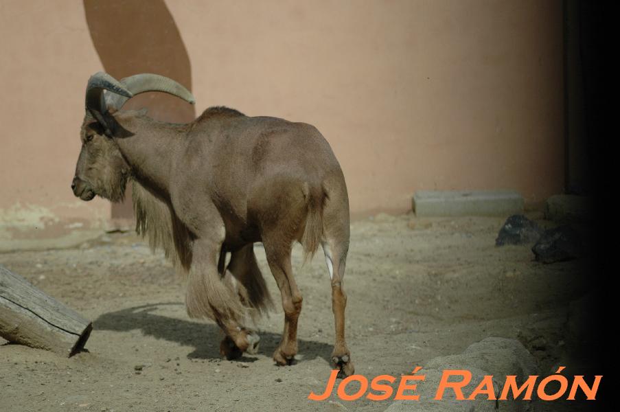 Foto de Jerez  de la Frontera (Cádiz), España